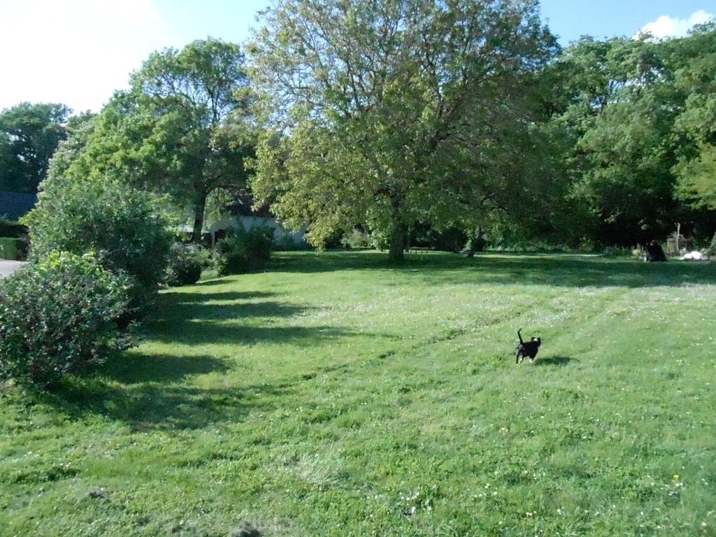B&B La Ferme Des Bordes Pontlevoy Exterior foto